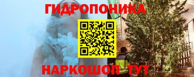 индика Будённовск