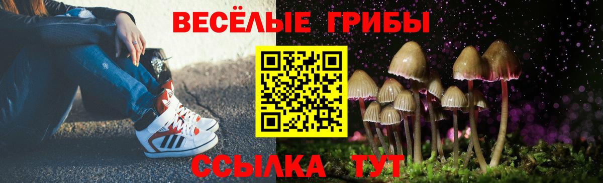 Галлюциногенные грибы мухоморы Пенза