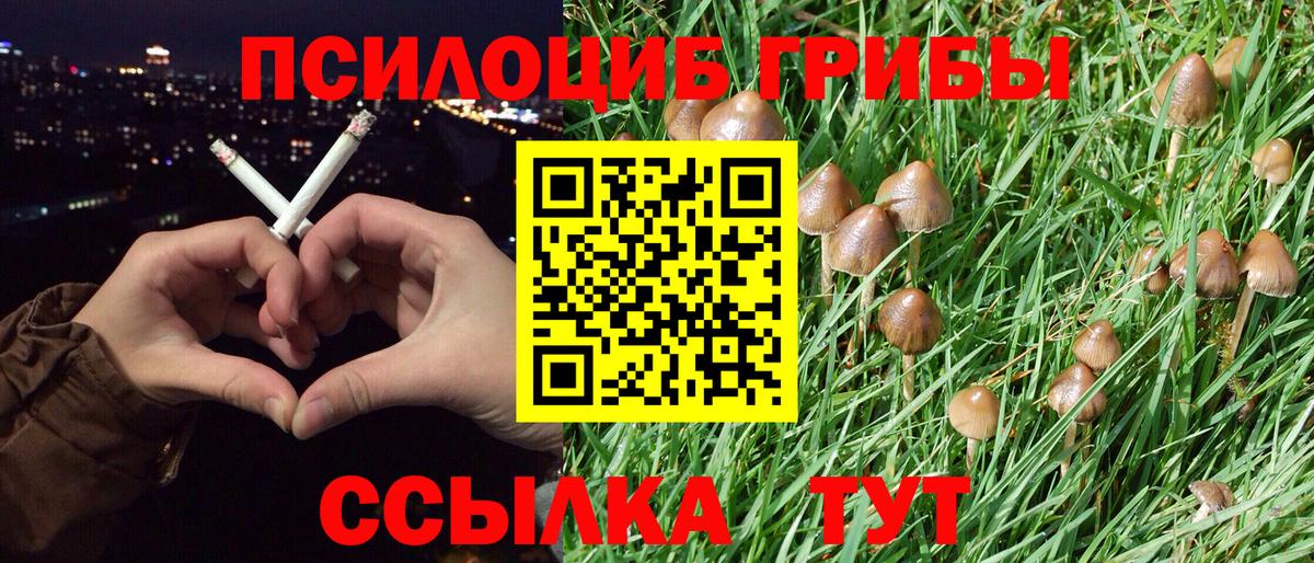 Пенза  где продают   Галлюциногенные грибы мухоморы  Вход с VPN  Галлюциногенные грибы MAGIC MUSHROOMS 